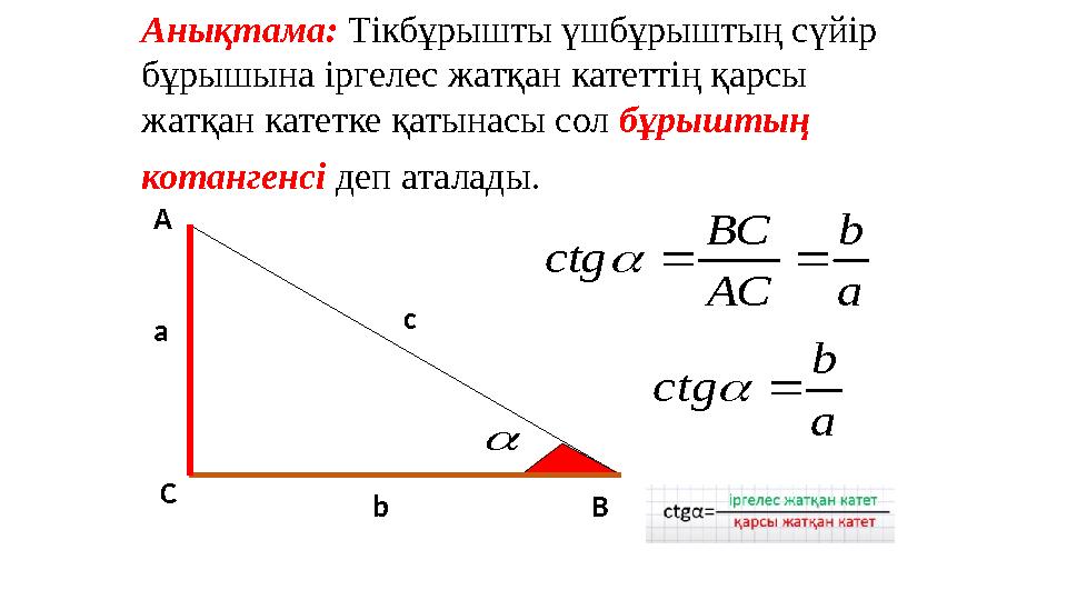 А С Вb c a a b АС ВС ctg  Анықтама: Тікбұрышты үшбұрыштың сүйір бұрышына іргелес жатқан катеттің қарсы жатқан катетке қатын