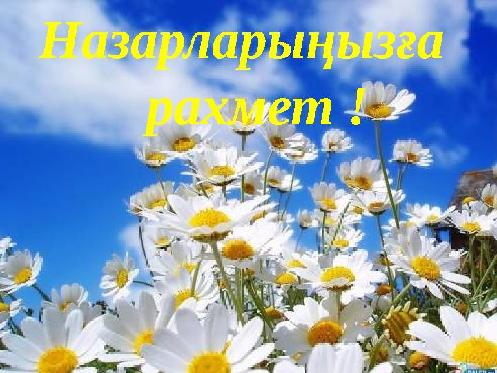 Назарларыңызға рахмет !