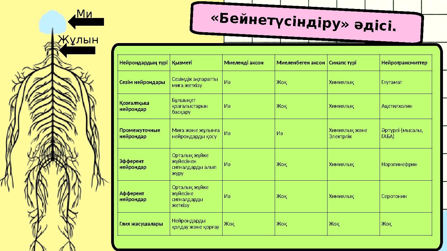 Отбасылық секс әуесқойлық бейнелер