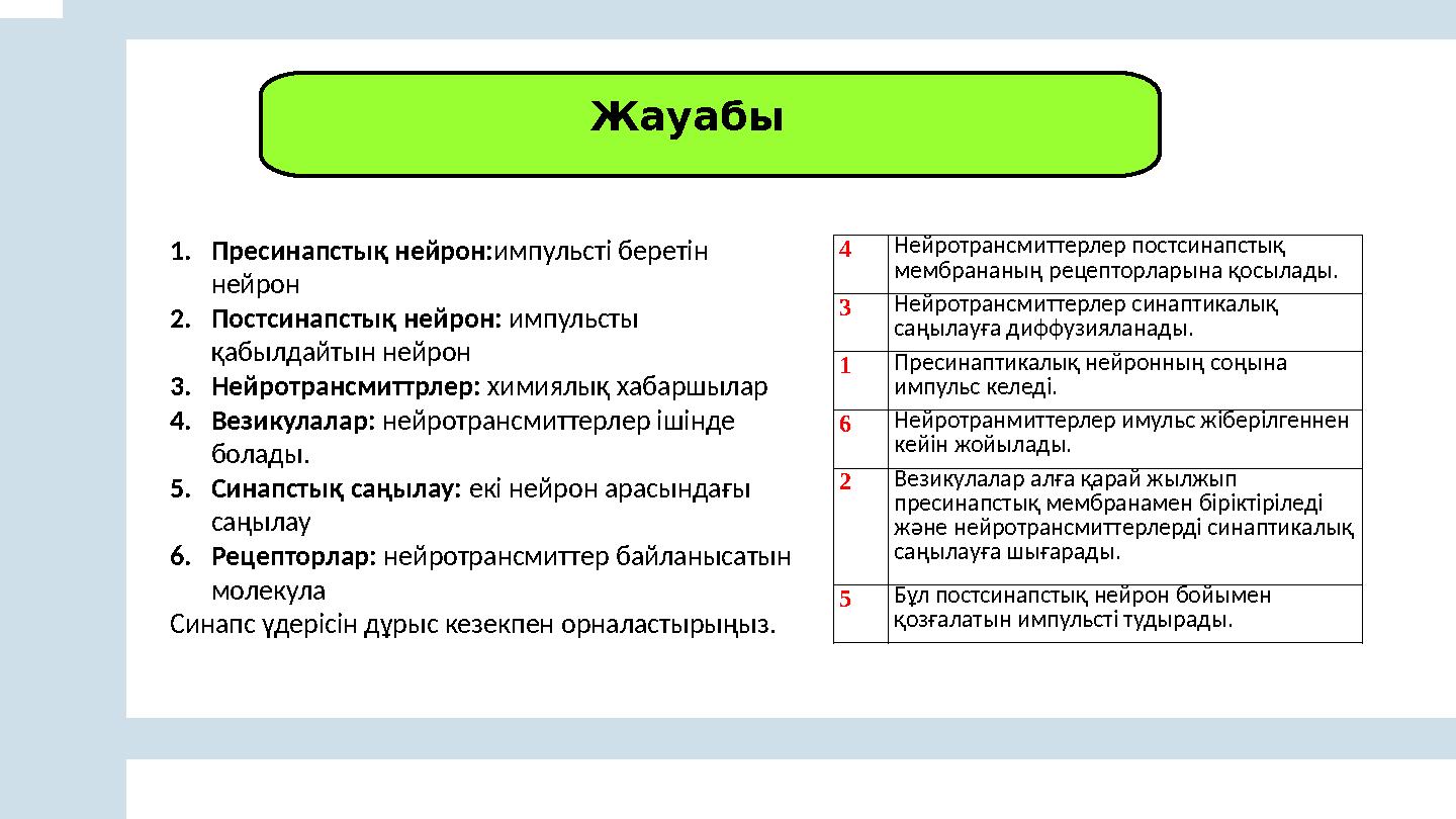 1.Пресинапстық нейрон:импульсті беретін нейрон 2.Постсинапстық нейрон: импульсты қабылдайтын нейрон 3.Нейротрансмиттрлер: хим