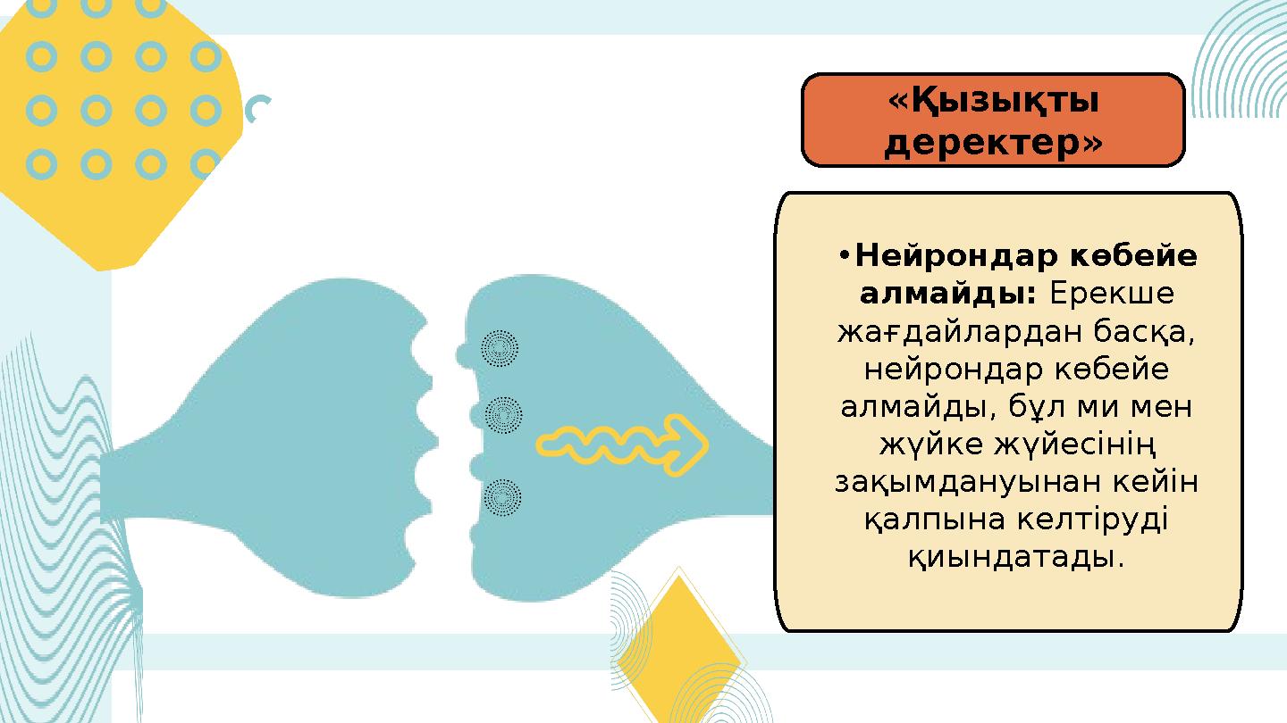 Фотосуреттердегі үлкен сиськи бар керемет жалаңаш балапандар