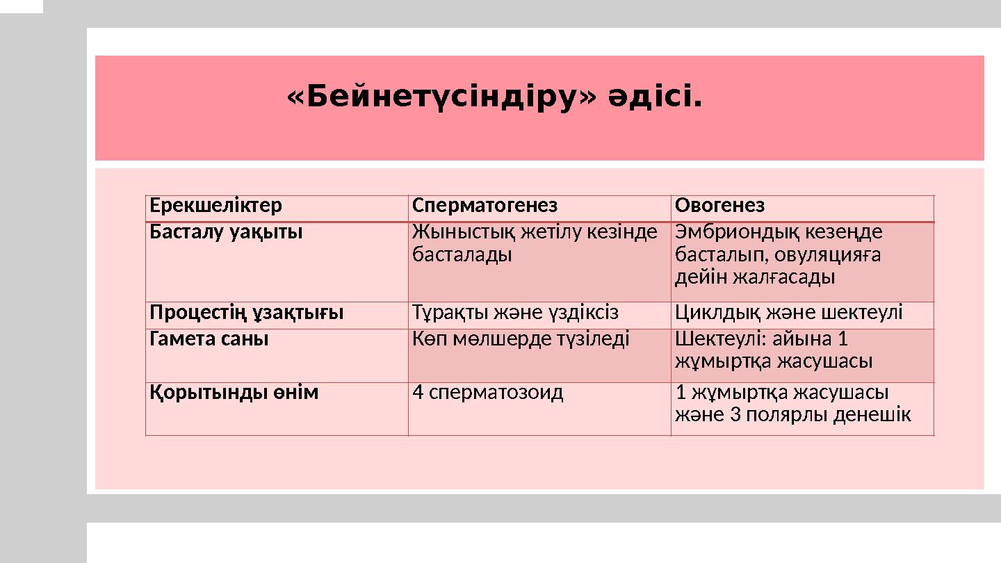 «Бейнетүсіндіру» әдісі. Ерекшеліктер Сперматогенез Овогенез Басталу уақыты Жыныстық жетілу кезінде басталады Эмбриондық кезе
