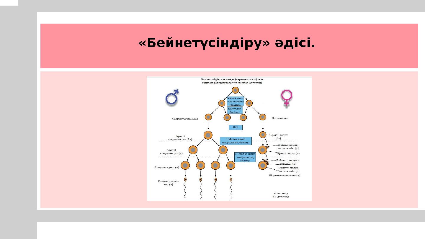 «Бейнетүсіндіру» әдісі.