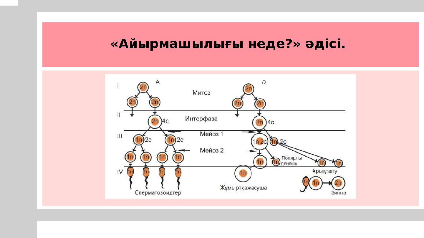 «Айырмашылығы неде?» әдісі.
