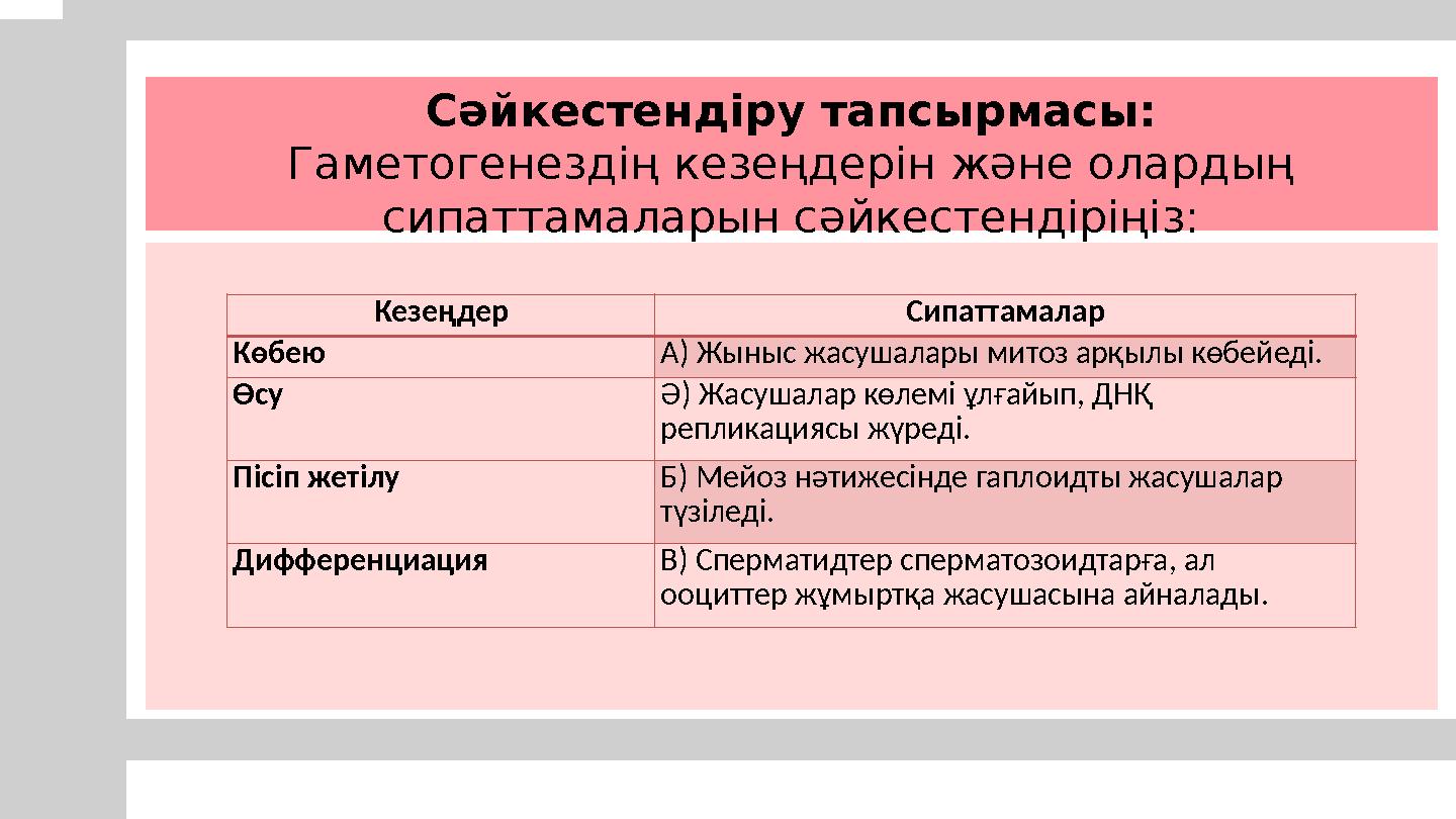 Сәйкестендіру тапсырмасы: Гаметогенездің кезеңдерін және олардың сипаттамаларын сәйкестендіріңіз: Кезеңдер Сипаттамалар Көбею