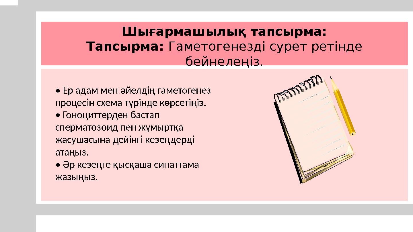 Шығармашылық тапсырма: Тапсырма: Гаметогенезді сурет ретінде бейнелеңіз. • Ер адам мен әйелдің гаметогенез процесін схема түр