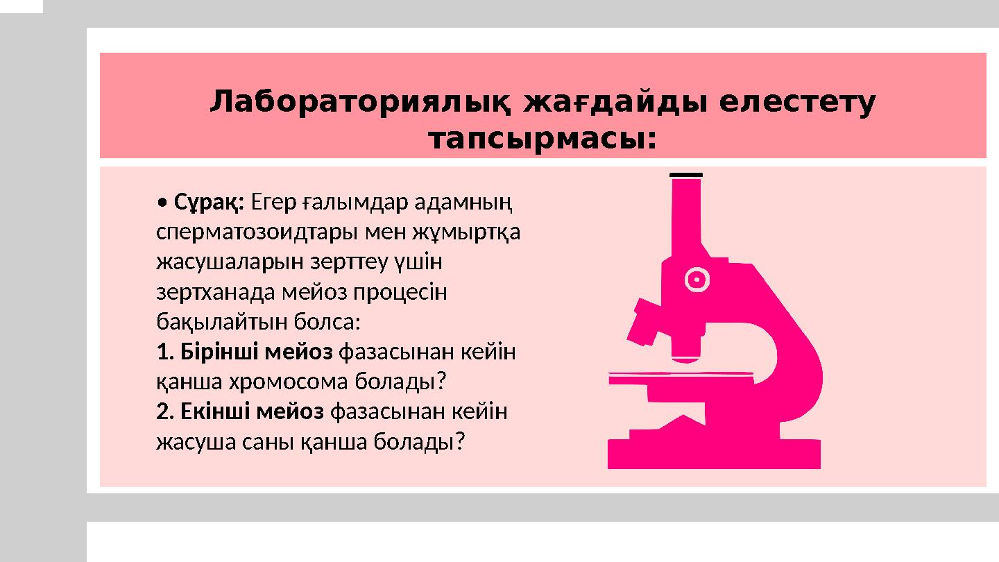 Әлемдегі ең арық қыздардың порносы Орындықтағы секс туралы GIF суреттері