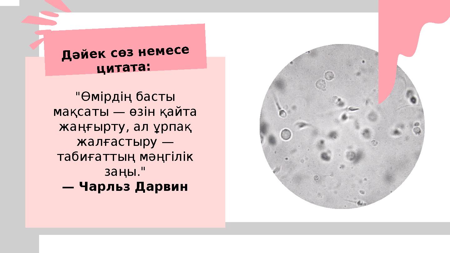 Хатшы және бастық секс