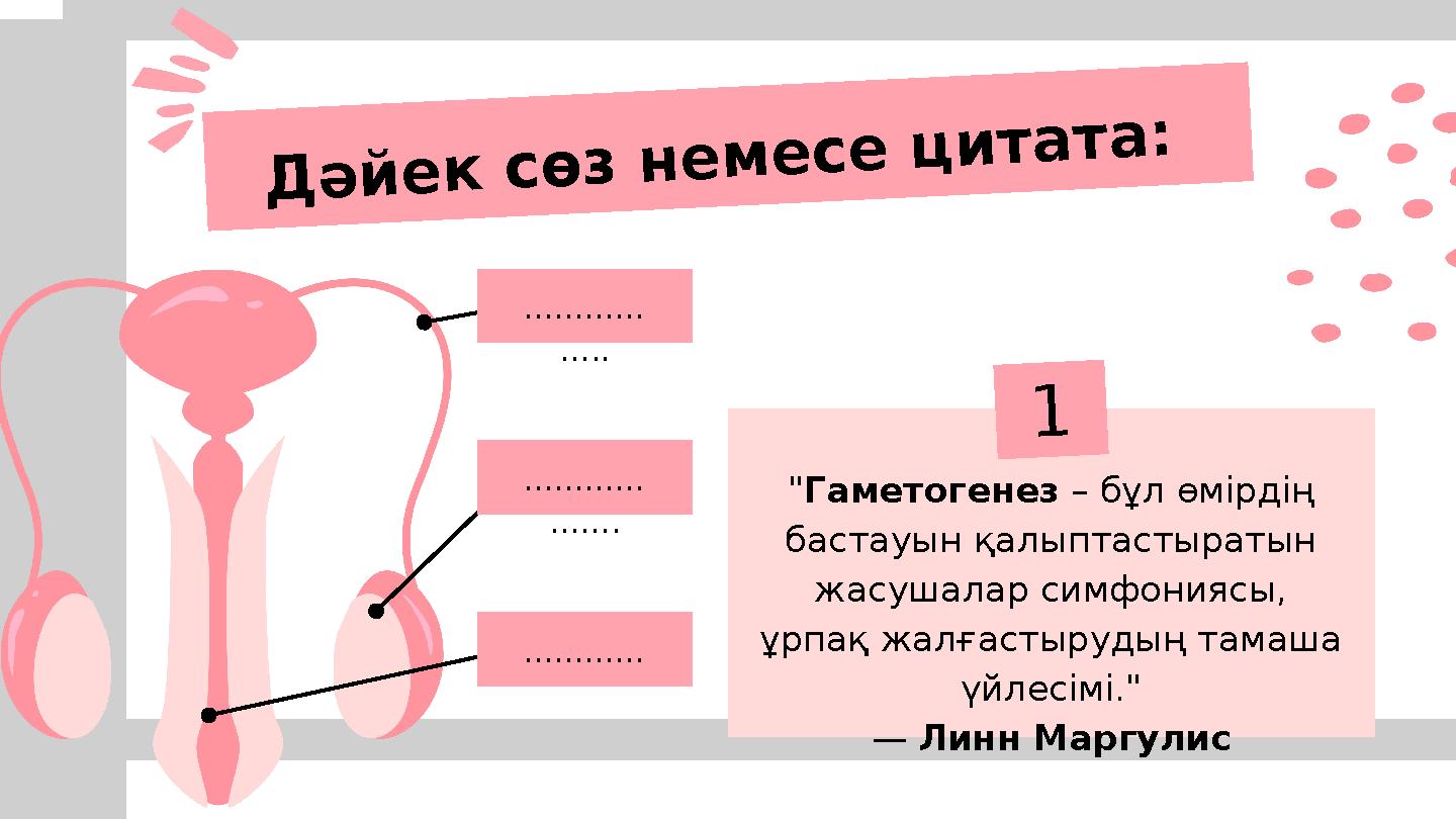 1 "Гаметогенез – бұл өмірдің бастауын қалыптастыратын жасушалар симфониясы, ұрпақ жалғастырудың тамаша үйлесімі." — Линн Ма