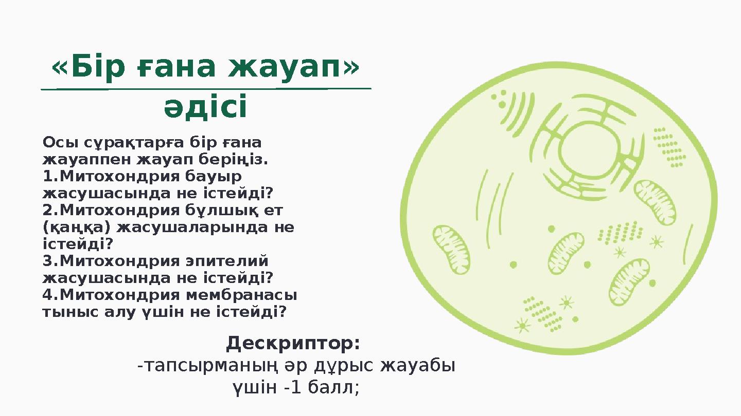 «Бір ғана жауап» әдісі Осы сұрақтарға бір ғана жауаппен жауап беріңіз. 1.Митохондрия бауыр жасушасында не істейді? 2.Митохонд