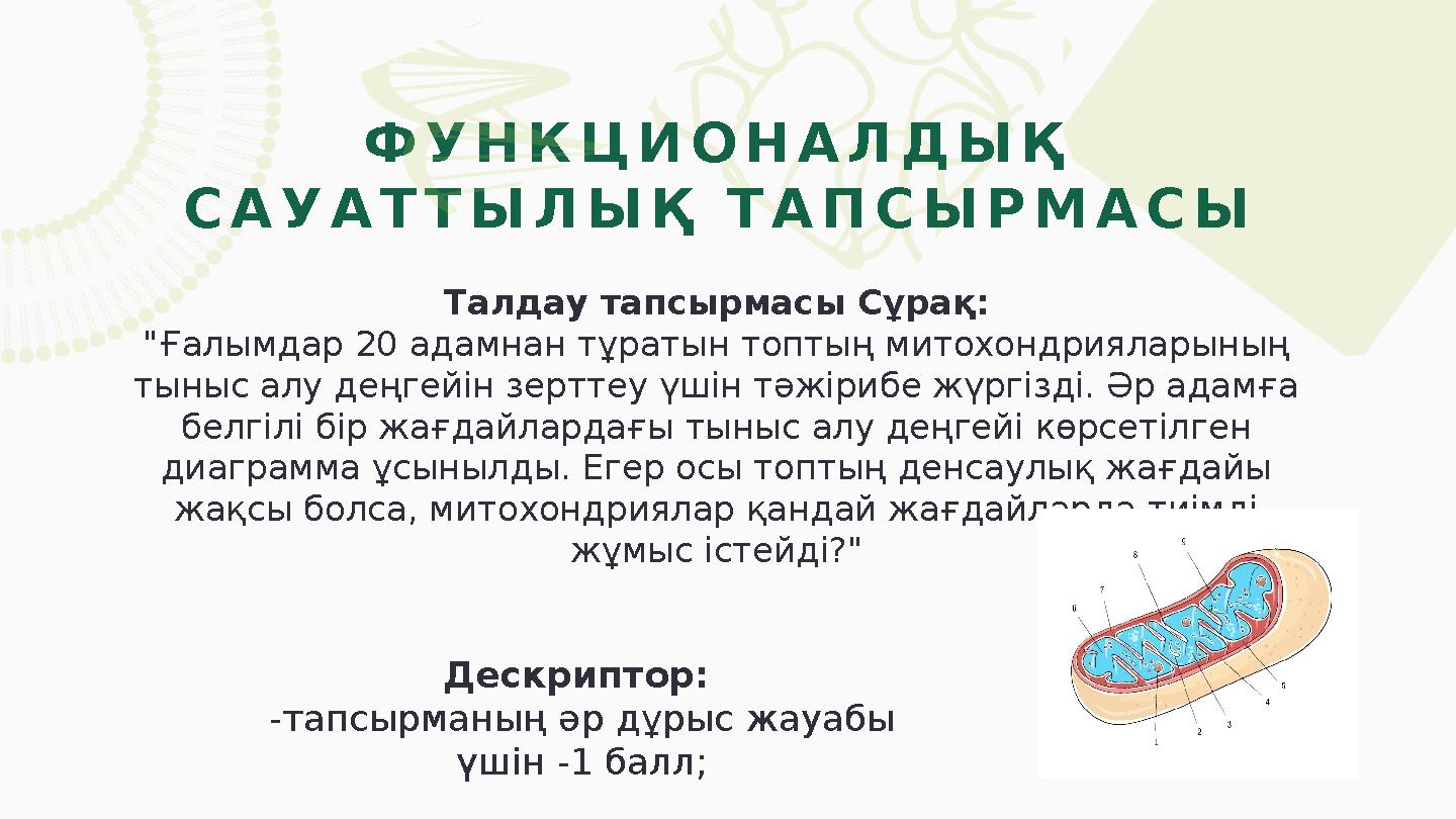 Талдау тапсырмасы Сұрақ: "Ғалымдар 20 адамнан тұратын топтың митохондрияларының тыныс алу деңгейін зерттеу үшін тәжірибе жүргіз