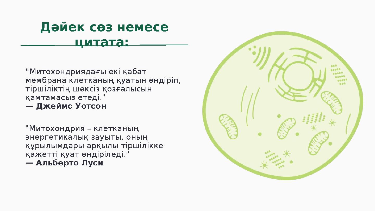 Дәйек сөз немесе цитата: "Митохондриядағы екі қабат мембрана клетканың қуатын өндіріп, тіршіліктің шексіз қозғалысын қамтам