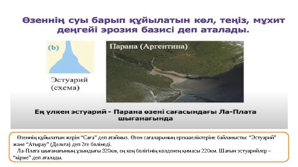 Өзеннің құйылатын жерін “Саға” деп атаймыз. Өзен сағаларының ерекшеліктеріне байланысты: “Эстуарий” және “Атырау” (Дельта) де