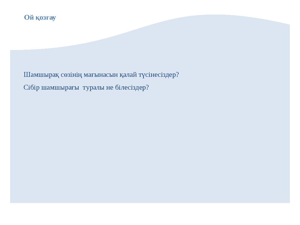 Шамшырақ сөзінің мағынасын қалай түсінесіздер? Сібір шамшырағы туралы не білесіздер? Ой қозғау