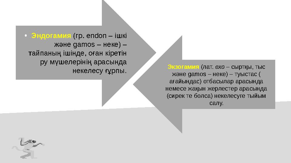 •Эндогамия (гр. endon – ішкі және gamos – неке) – тайпаның ішінде, оған кіретін ру мүшелерінің арасында некелесу ғұрпы. Экзо