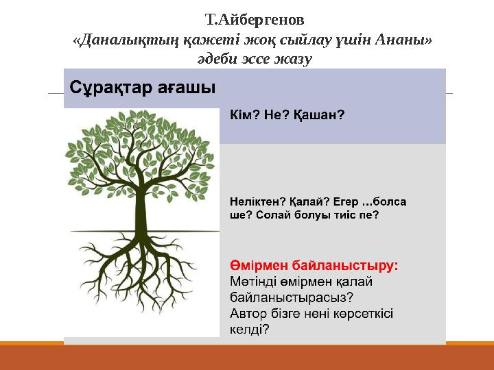 Т.Айбергенов «Даналықтың қажеті жоқ сыйлау үшін Ананы» әдеби эссе жазу