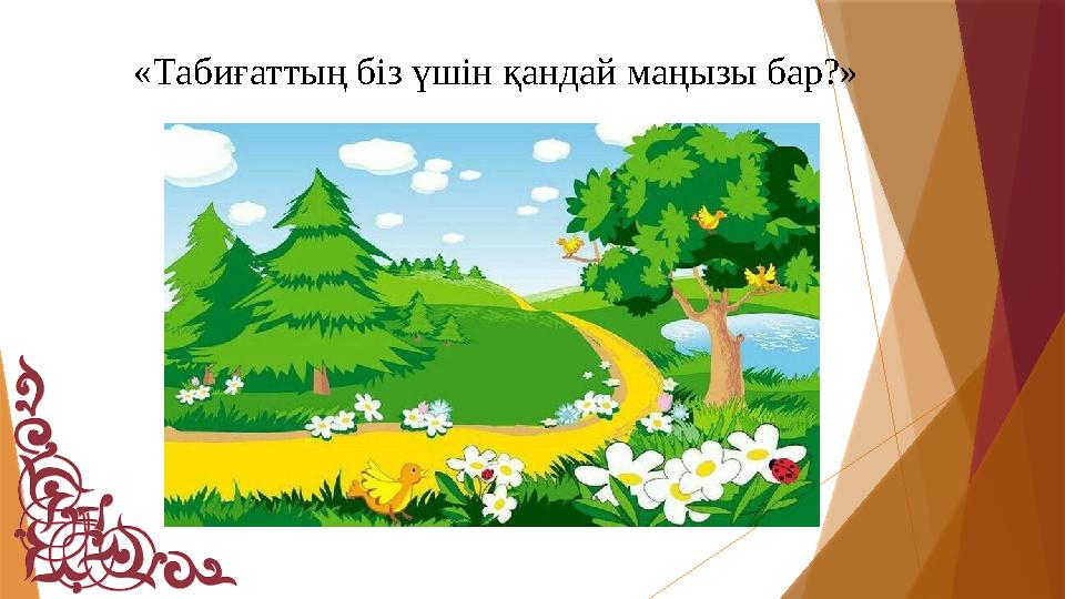 «Табиғаттың біз үшін қандай маңызы бар?»