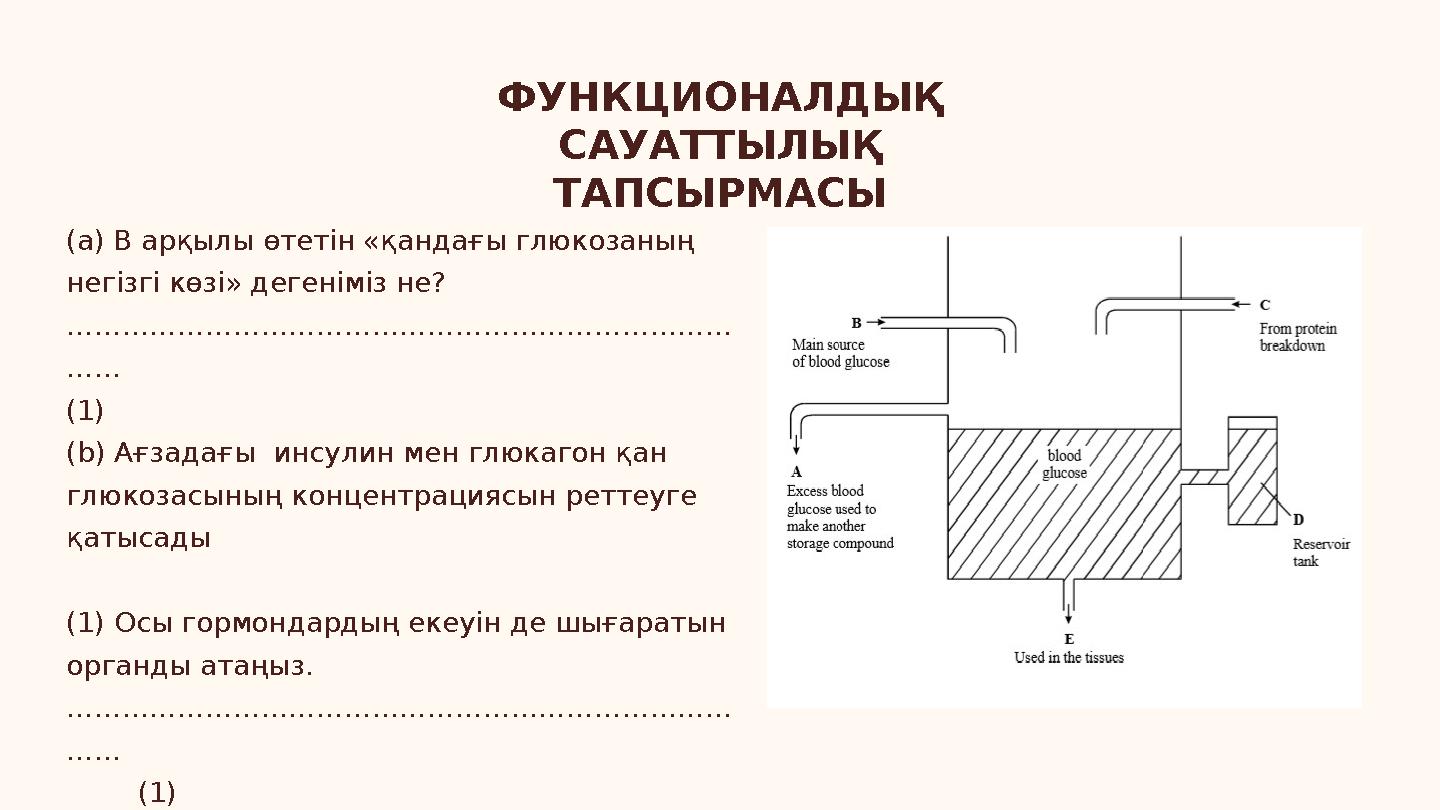 ФУНКЦИОНАЛДЫҚ САУАТТЫЛЫҚ ТАПСЫРМАСЫ (a) В арқылы өтетін «қандағы глюкозаның негізгі көзі» дегеніміз не? ………………………………………………………