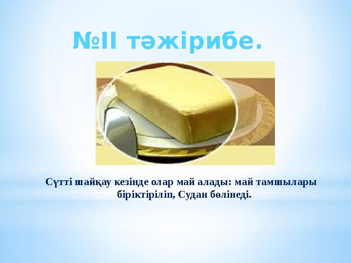 Сүтті шайқау кезінде олар май алады: май тамшылары біріктіріліп, Судан бөлінеді. №II тәжірибе.