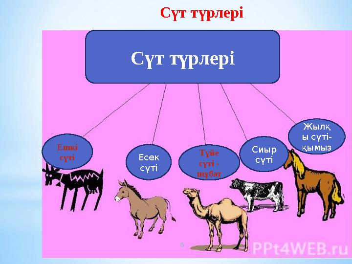 Күйеуі әйелі мен ғашығына қосылып, порно