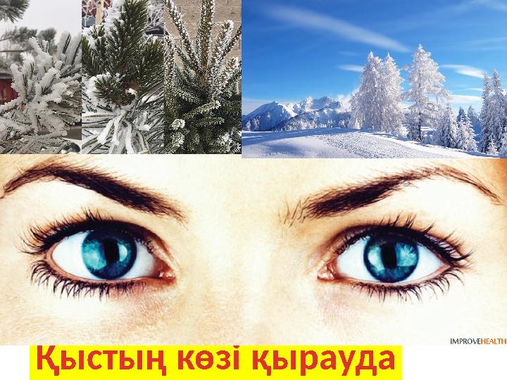 Қыстың көзі қырауда