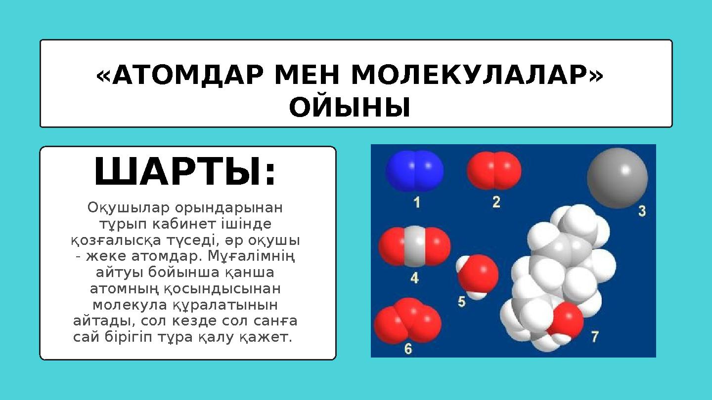 Тамақты жейтіндердің бейнелері