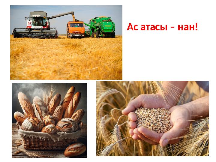Ас атасы – нан!