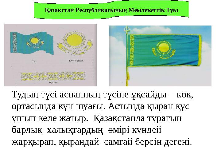 Тудың түсі аспанның түсіне ұқсайды – көк, ортасында күн шуағы. Астында қыран құс ұшып келе жатыр. Қазақстанда тұратын барлы