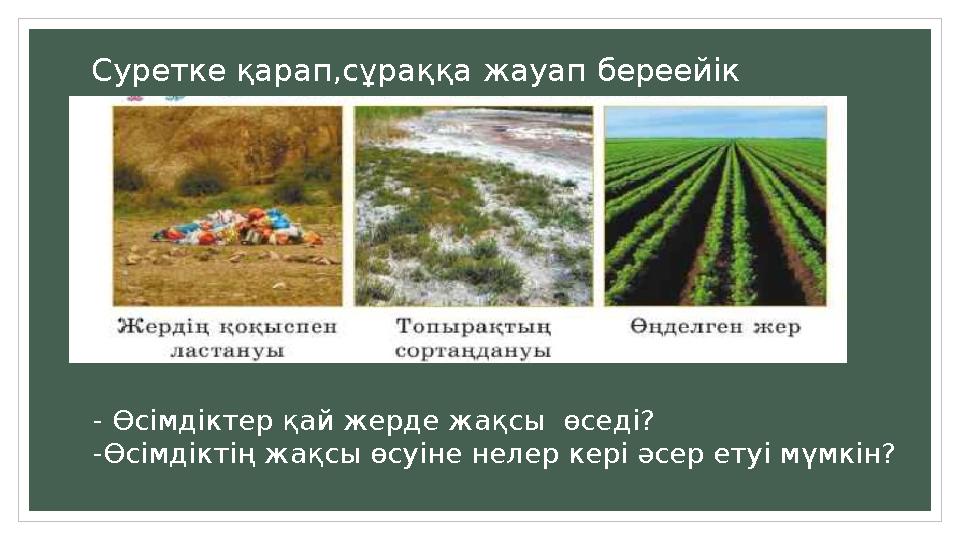 Суретке қарап,сұраққа жауап береейік - Өсімдіктер қай жерде жақсы өседі? -Өсімдіктің жақсы өсуіне нелер кері әсер етуі мүмкін?