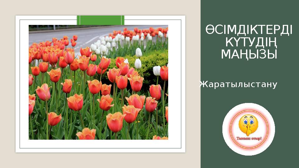 ӨСІМДІКТЕРДІ КҮТУДІҢ МАҢЫЗЫ Жаратылыстану