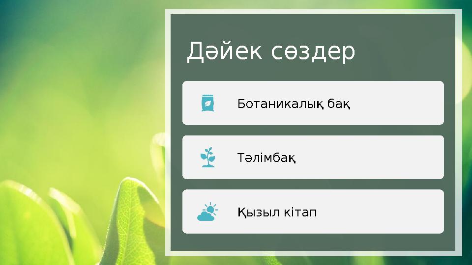 Дәйек сөздер Ботаникалық бақ Тәлімбақ Қызыл кітап
