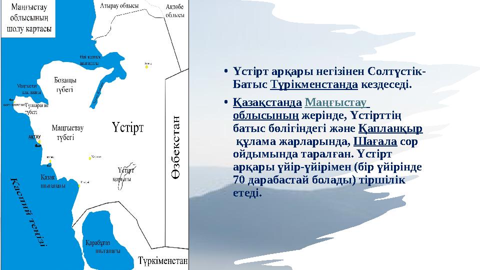 •Үстірт арқары негізінен Солтүстік- Батыс Түрікменстанда кездеседі. •Қазақстанда Маңғыстау облысының жерінде, Үстірттің батыс