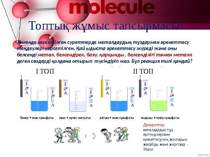 Топтық жұмыс тапсырмасы: Төменде көрсетілген суреттерде металдардың тұздармен әрекеттесу теңдеулері көрсетілген. Қай ыдыста әре