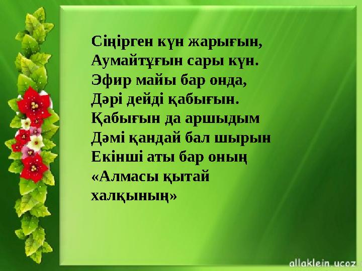 Сіңірген күн жарығын, Аумайтұғын сары күн. Эфир майы бар онда, Дәрі дейді қабығын. Қабығын да аршыдым Дәмі қандай бал шырын Екін