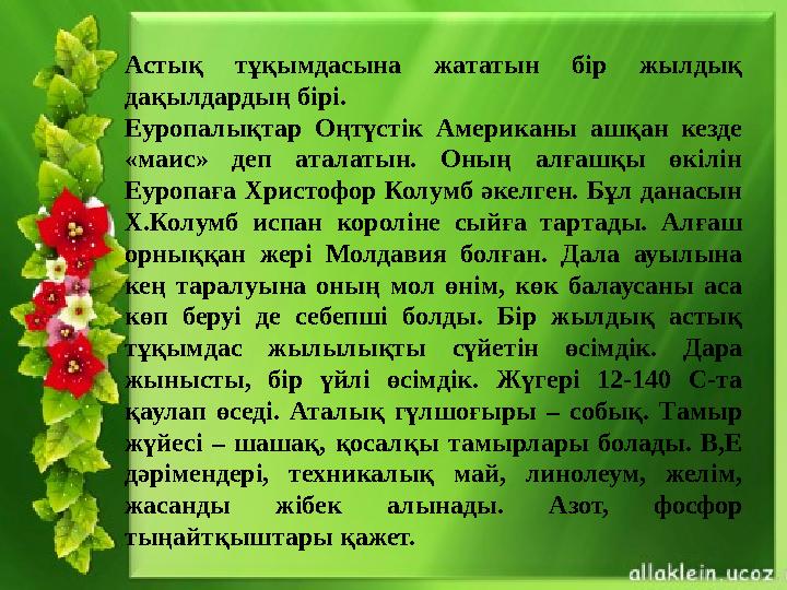 Астық тұқымдасына жататын бір жылдық дақылдардың бірі. Еуропалықтар Оңтүстік Американы ашқан кезде «маис» деп аталатын. Оның