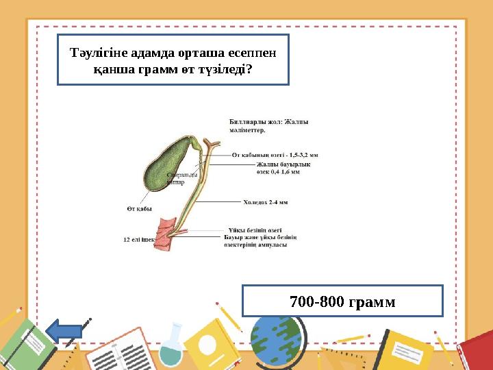 Тәулігіне адамда орташа есеппен қанша грамм өт түзіледі? 700-800 грамм