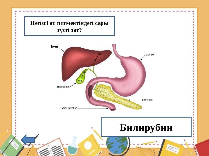 Негізгі өт пигментіндегі сары түсті зат? Билирубин