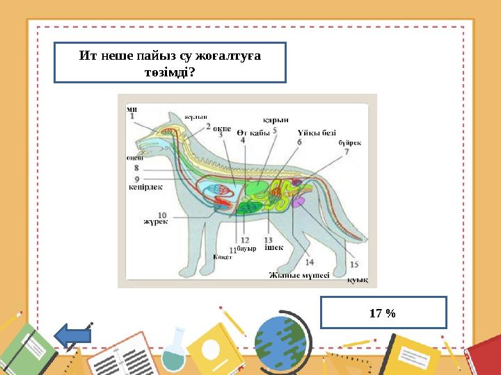 Ит неше пайыз су жоғалтуға төзімді? 17 %