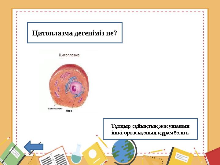 Цитоплазма дегеніміз не? Тұтқыр сұйықтық,жасушаның ішкі ортасы,оның құрамбөлігі.