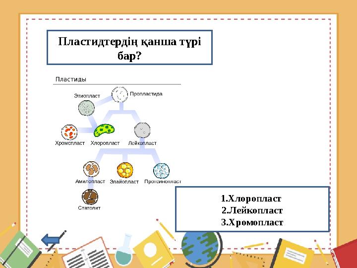 Пластидтердің қанша түрі бар? 1.Хлоропласт 2.Лейкопласт 3.Хромопласт