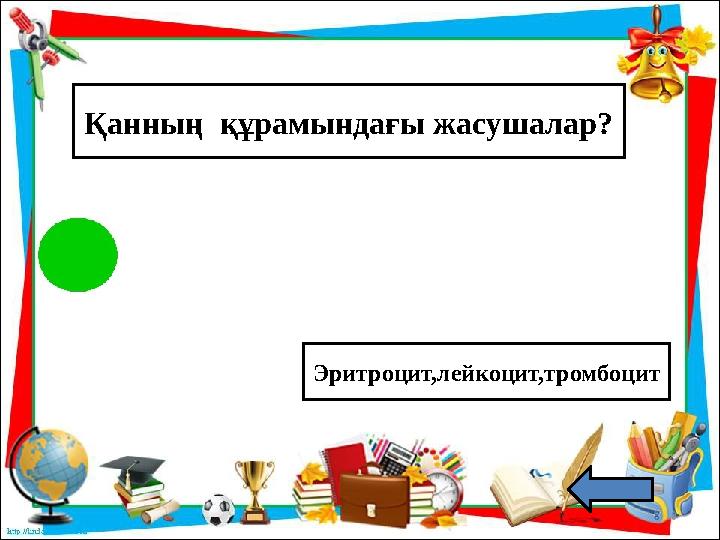 Қанның құрамындағы жасушалар? Эритроцит,лейкоцит,тромбоцит