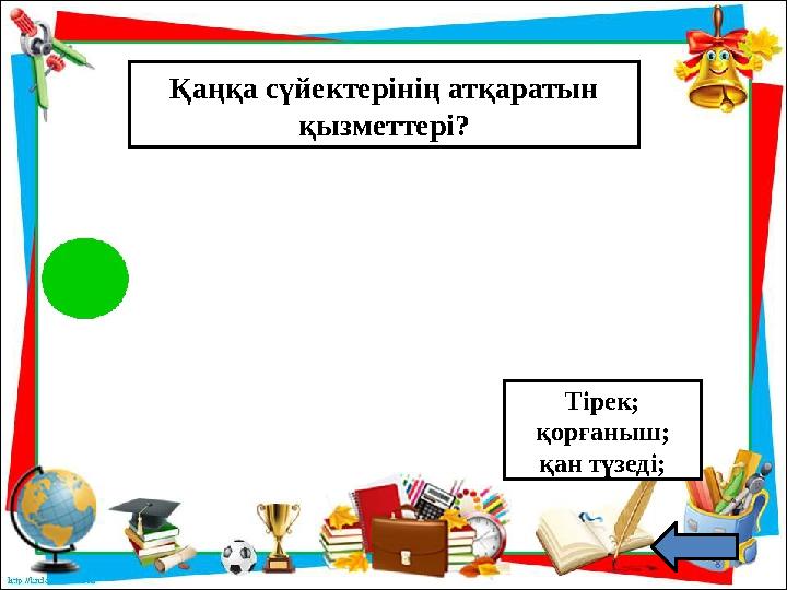 Қаңқа сүйектерінің атқаратын қызметтері? Тірек; қорғаныш; қан түзеді;