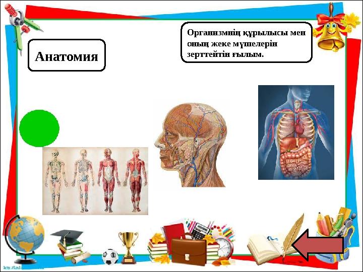 Анатомия Организмнің құрылысы мен оның жеке мүшелерін зерттейтін ғылым.