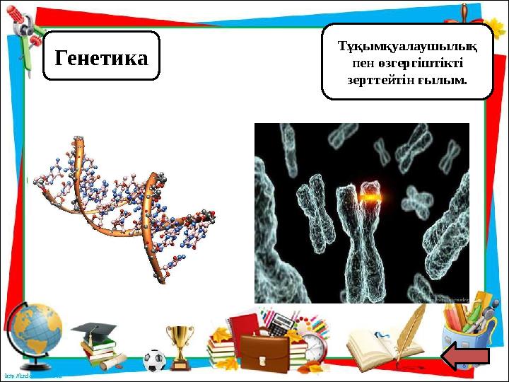 Генетика Тұқымқуалаушылық пен өзгергіштікті зерттейтін ғылым.