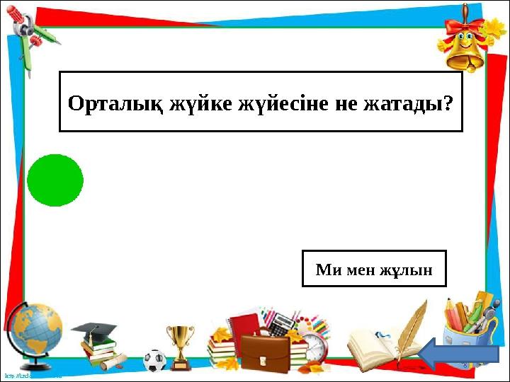 Орталық жүйке жүйесіне не жатады? Ми мен жұлын