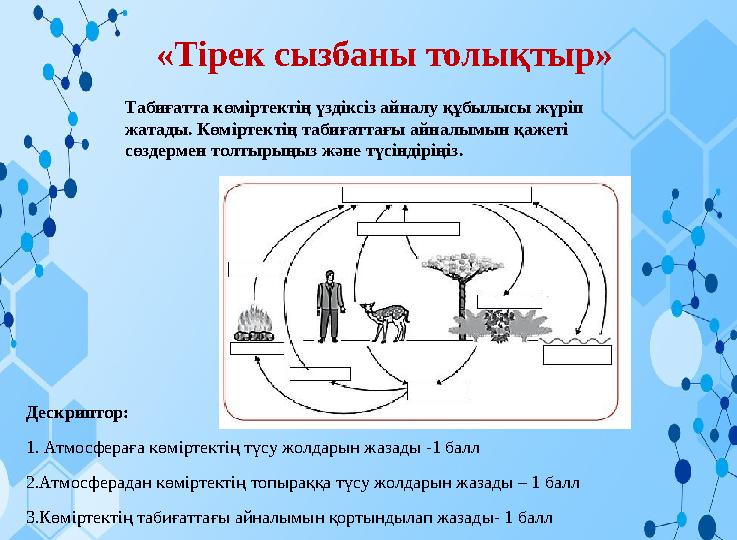 «Тірек сызбаны толықтыр» Табиғатта көміртектің үздіксіз айналу құбылысы жүріп жатады. Көміртектің табиғаттағы айналымын