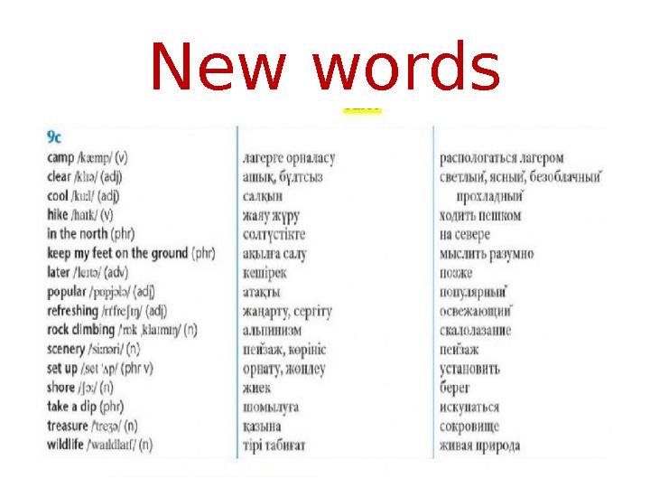 New words