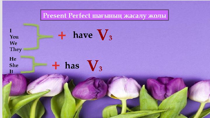 I You We They Present Perfect шағының жасалу жолы He She It + + V3 V3 have has