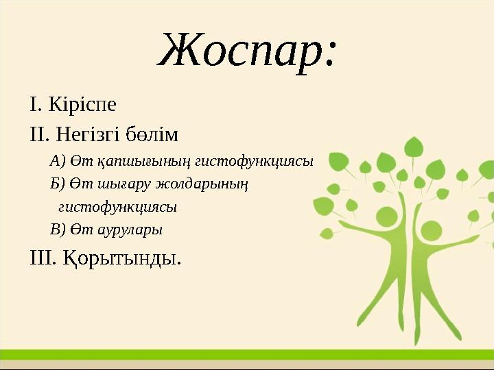 Жоспар: І. Кіріспе ІІ. Негізгі бөлім А) Өт қапшығының гистофункциясы Б) Өт шығару жолдарының гистофункциясы