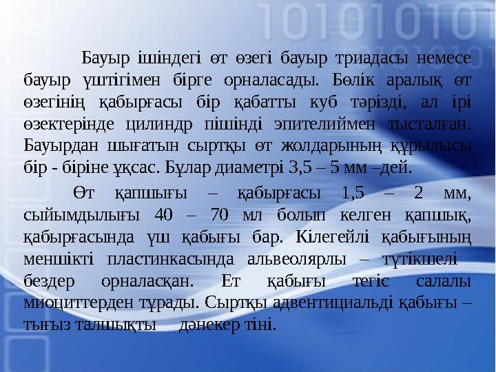 Бауыр ішіндегі өт өзегі бауыр триадасы немесе бауыр үштігімен бірге орналасады. Бөлік аралық өт өзегінің қабырғасы бір қабатт